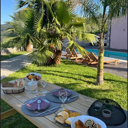 Prefacio Do Silencio